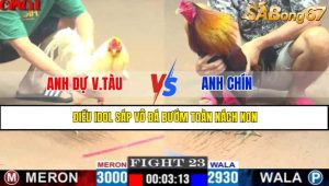 TRẬN 23 CPC1 10/5/2025