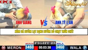 TRẬN 23 CPC2 2/5/2025