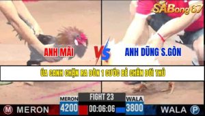 TRẬN 23 CPC3 1/5/2025