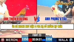 TRẬN 23 CPC3 12/5/2025