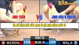 TRẬN 23 CPC3 17/5/2025