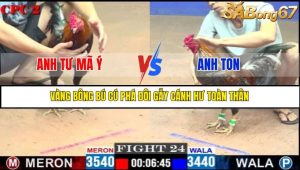 TRẬN 24 C2 16/5/2025