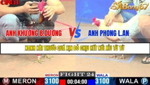 TRẬN 24 C3 17/5/2025