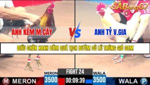 TRẬN 24 C3 18/5/2025