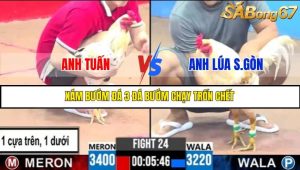 TRẬN 24 C3 22/05/2025