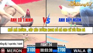 TRẬN 24 C3 24/05/2025