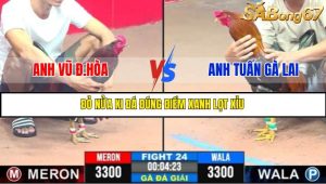 TRẬN 24 C3 31/5/2025