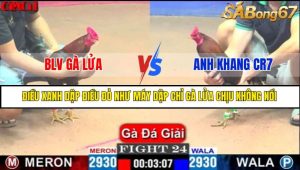 TRẬN 24 CPC1 15/5/2025