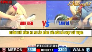 TRẬN 24 CPC1 3/5/2025