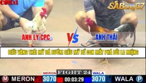 TRẬN 24 CPC1 6/5/2025