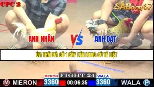 TRẬN 24 CPC2 14/5/2025