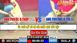 TRẬN 24 CPC2 4/5/2025