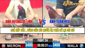 TRẬN 24 CPC3 3/5/2025