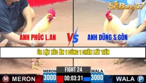 TRẬN 24 CPC3 6/5/2025