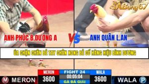 TRẬN 24 CPC3 7/5/2025