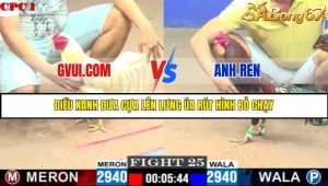 TRẬN 25 C1 29/05/2025