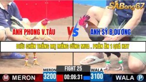 TRẬN 25 C3 17/5/2025