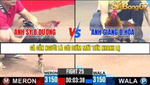 TRẬN 25 C3 24/05/2025