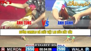 TRẬN 25 CPC2 14/5/2025