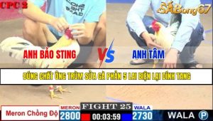 TRẬN 25 CPC2 9/5/2025