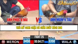 TRẬN 25 CPC3 5/5/2025