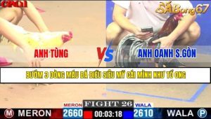 TRẬN 26 CPC1 12/5/2025