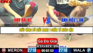TRẬN 26 C1 15/5/2025