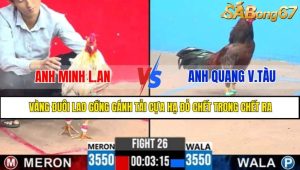 TRẬN 26 CPC3 12/5/2025