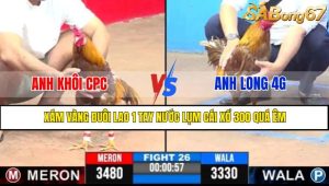 TRẬN 26 CPC3 7/5/2025