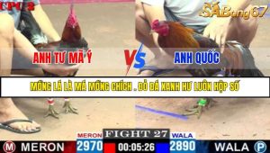 TRẬN 27 C2 16/5/2025