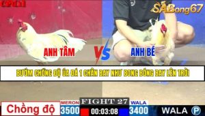 TRẬN 27 CPC1 3/5/2025