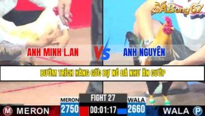 TRẬN 27 CPC3 1/5/2025