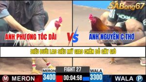 TRẬN 27 CPC3 5/5/2025