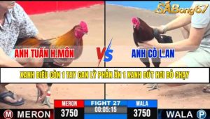 TRẬN 27 CPC3 7/5/2025