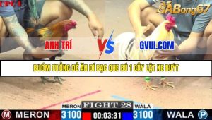 TRẬN 28 C1 24/05/2025