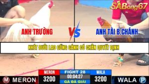TRẬN 28 C3 18/5/2025