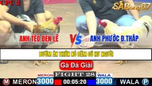 TRẬN 28 CPC2 4/5/2025