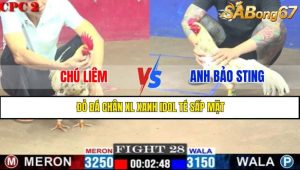 TRẬN 28 CPC2 9/5/2025