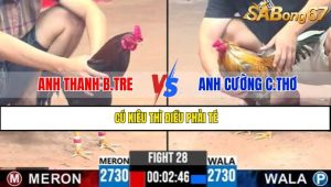 TRẬN 28 CPC3 1/5/2025