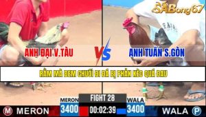 TRẬN 28 CPC3 13/5/2025