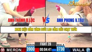 TRẬN 28 CPC3 17/5/2025