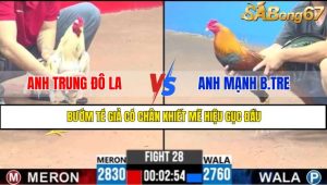 TRẬN 28 CPC3 2/5/2025
