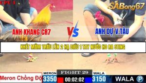 TRẬN 29 C1 22/05/2025