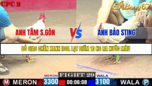 TRẬN 29 C2 16/5/2025