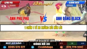 TRẬN 29 C2 23/05/2025