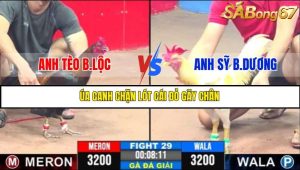 TRẬN 29 C3 18/5/2025