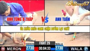 TRẬN 29 C3 22/05/2025