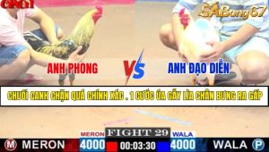 TRẬN 29 CPC1 8/5/2025