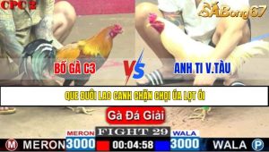 TRẬN 29 CPC2 4/5/2025