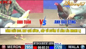 TRẬN 29 CPC2 9/5/2025